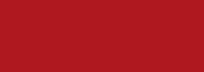 Printer Heavier Pro L/S T-Shirt Dames - Rood